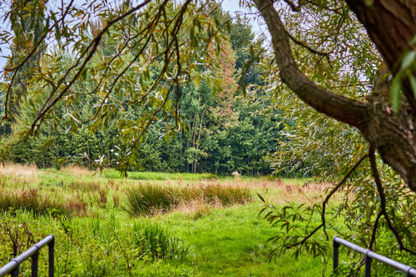 Footpath to Gresham Mill, off High Street, Old Woking Surrey