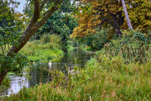 River Wey just across the road River Wey